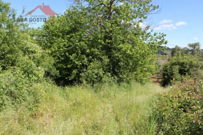 Terreno para Venda em Vale de Prados