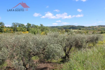 Terreno para Venda em Vale de Prados