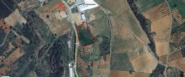 Terreno para Venda em Vale de Prados