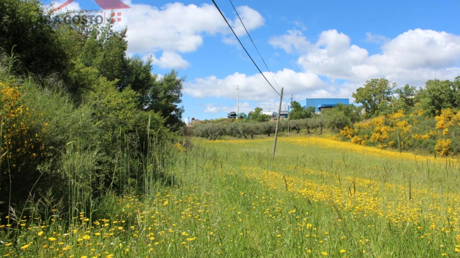 Terreno para Venda em Vale de Prados