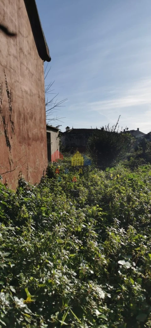 Loja para Venda em Murtosa