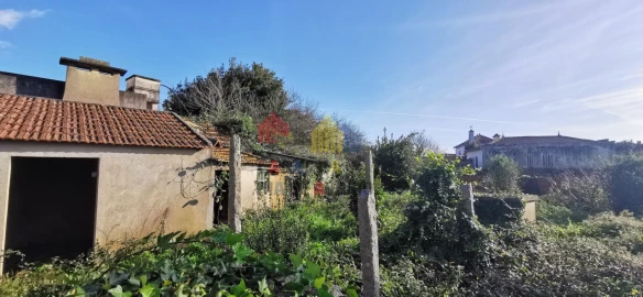 Loja para Venda em Murtosa