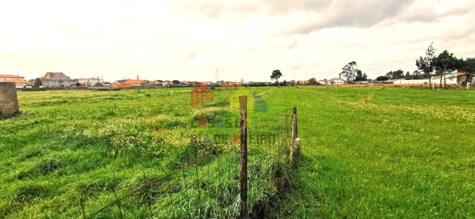 Quinta T2 para Venda em Monte Foto 10