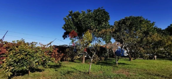 Moradia T3 para Venda em Bunheiro