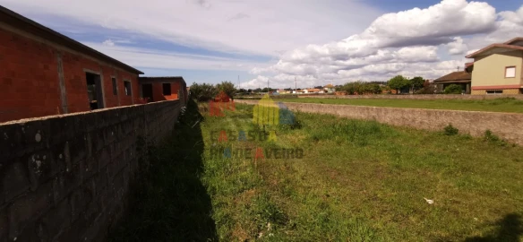 Terreno para Venda em Monte