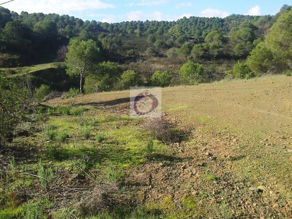 Quinta T3 para Venda em Vaqueiros Foto 10