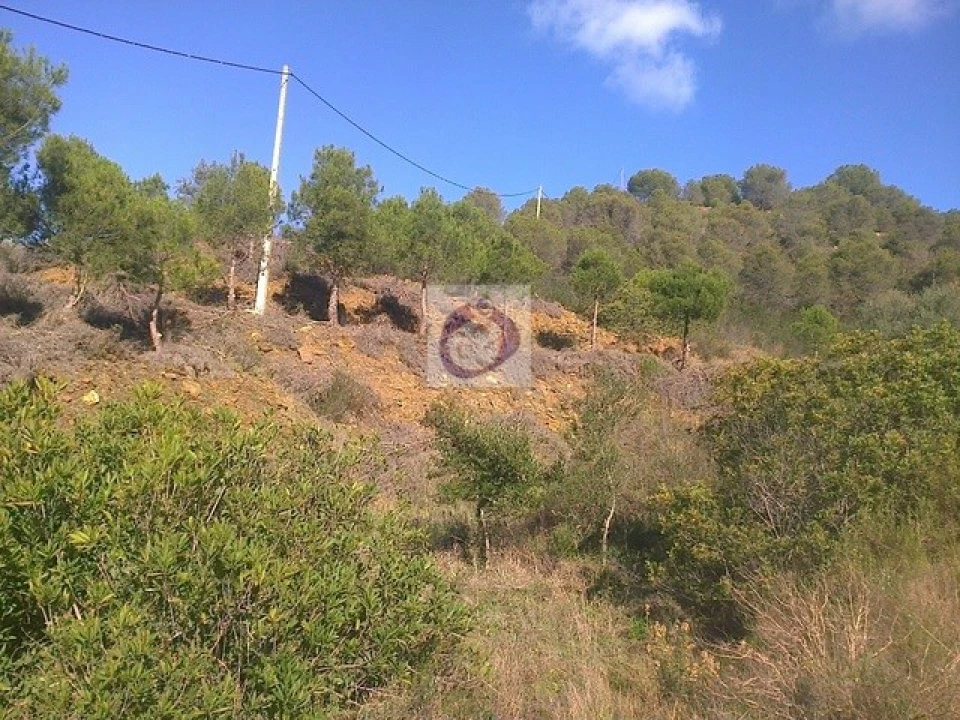 Quinta T3 para Venda em Vaqueiros Foto 4