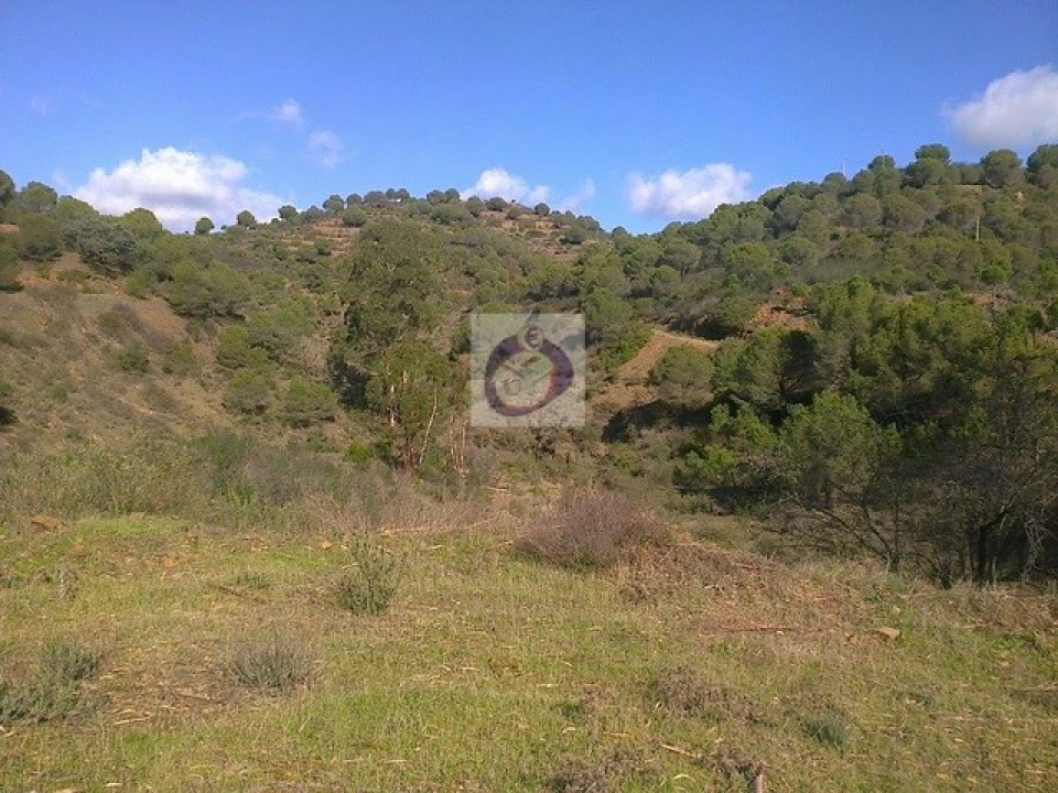 Quinta T3 para Venda em Vaqueiros Foto 3