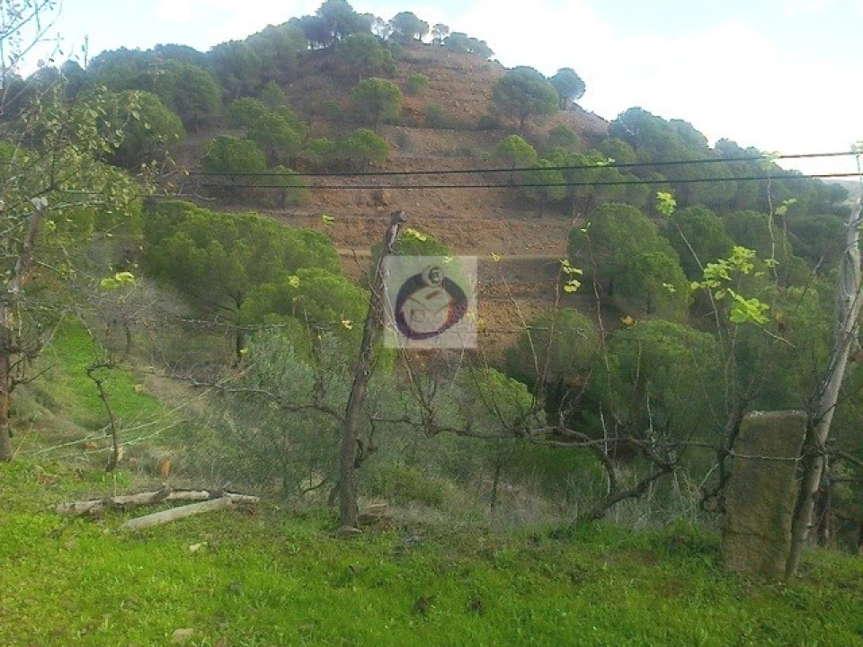 Quinta T3 para Venda em Vaqueiros Foto 6