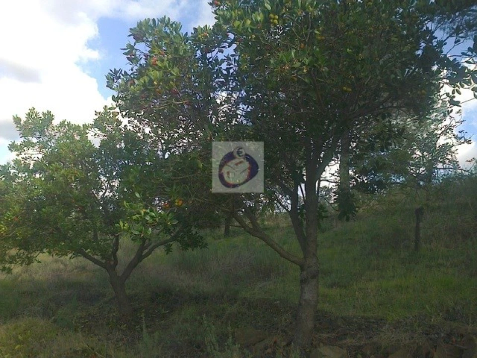 Quinta T3 para Venda em Vaqueiros Foto 15