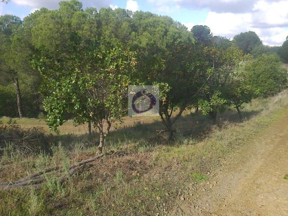 Quinta T3 para Venda em Vaqueiros Foto 16