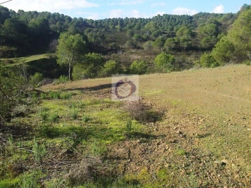 Quinta T3 para Venda em Vaqueiros