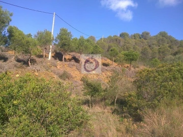 Quinta T3 para Venda em Vaqueiros