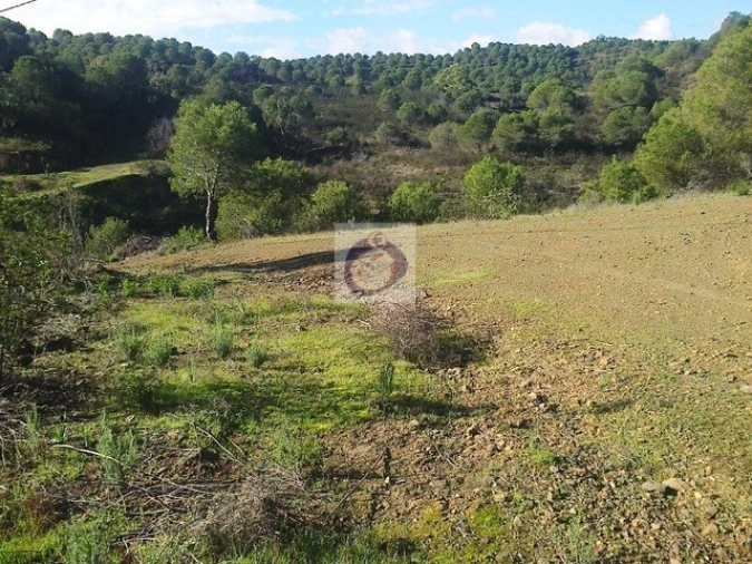 Quinta T3 para Venda em Vaqueiros Foto 10