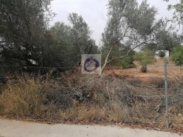 Terreno para Venda em Almancil