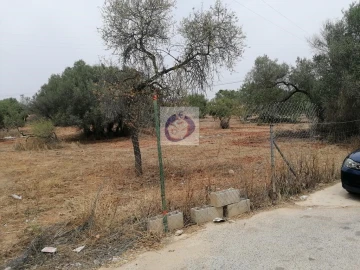 Terreno para Venda em Almancil
