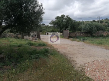 Armazém para Venda em Conceição e Estoi