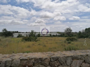 Armazém para Venda em Conceição e Estoi