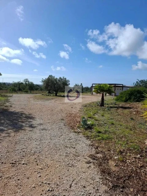 Armazém para Venda em Conceição e Estoi