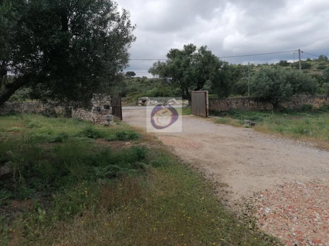 Armazém para Arrendamento em Conceição e Estoi Foto 6