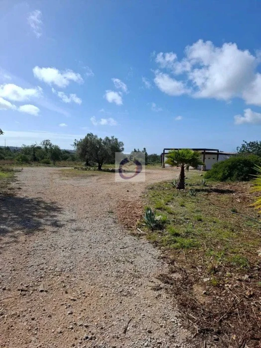 Armazém para Arrendamento em Conceição e Estoi Foto 7