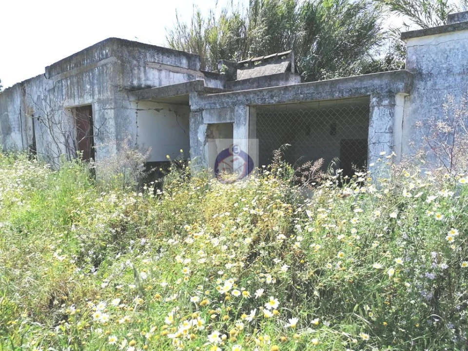 Quinta para Venda em Moncarapacho e Fuseta Foto 6