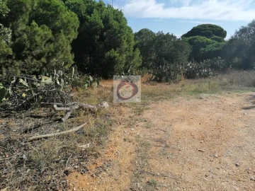 Terreno para Venda em Luz de Tavira e Santo Estêvão