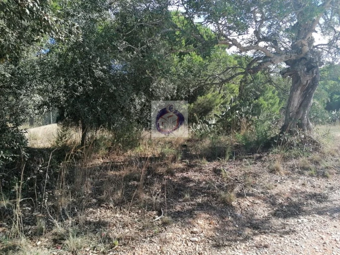 Terreno para Venda em Luz de Tavira e Santo Estêvão Foto 4