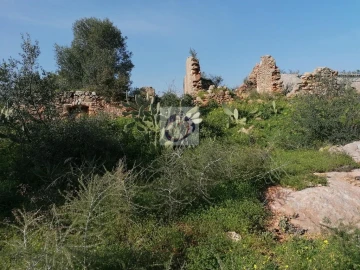 Quinta para Venda em Quelfes