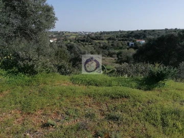 Quinta para Venda em Quelfes