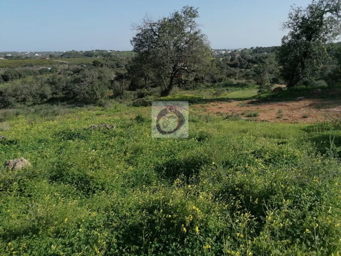 Quinta para Venda em Quelfes Foto 6