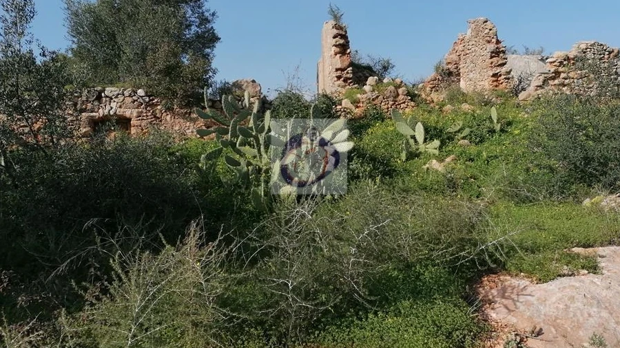 Quinta para Venda em Quelfes