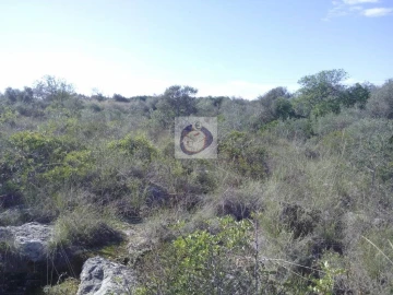 Quinta para Venda em Moncarapacho e Fuseta