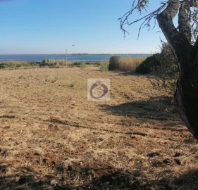 Quinta T4 para Venda em Moncarapacho e Fuseta