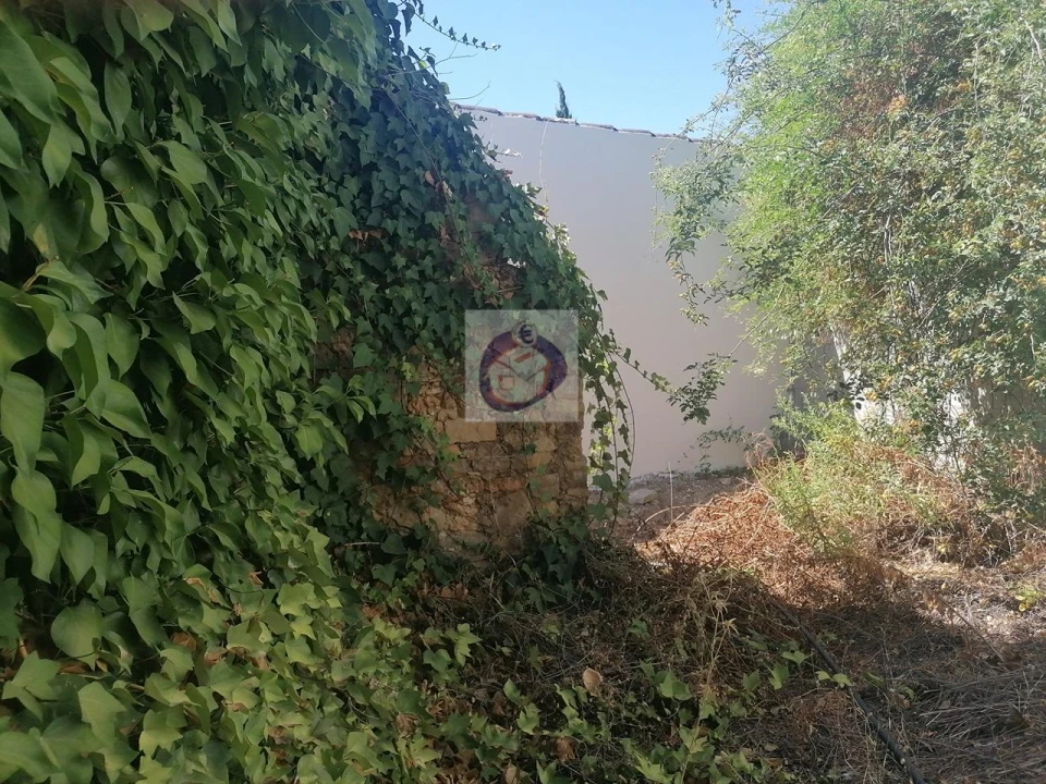 Terreno para Venda em Moncarapacho e Fuseta Foto 7