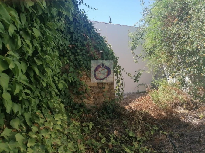 Terreno para Venda em Moncarapacho e Fuseta Foto 7
