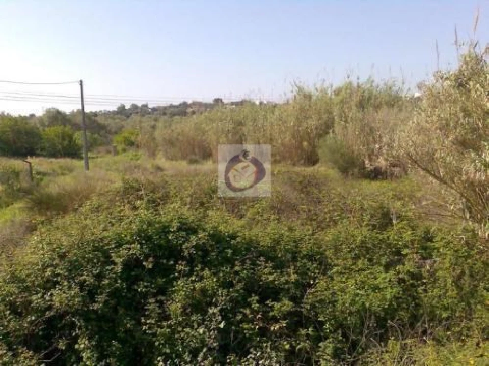 Terreno Agricola ou Rústico para Venda em Moncarapacho e Fuseta Foto 1