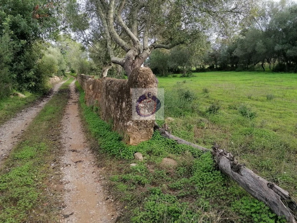 Terreno Agricola ou Rústico para Venda em Quelfes Foto 1