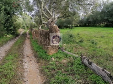 Terreno Agricola ou Rústico para Venda em Quelfes