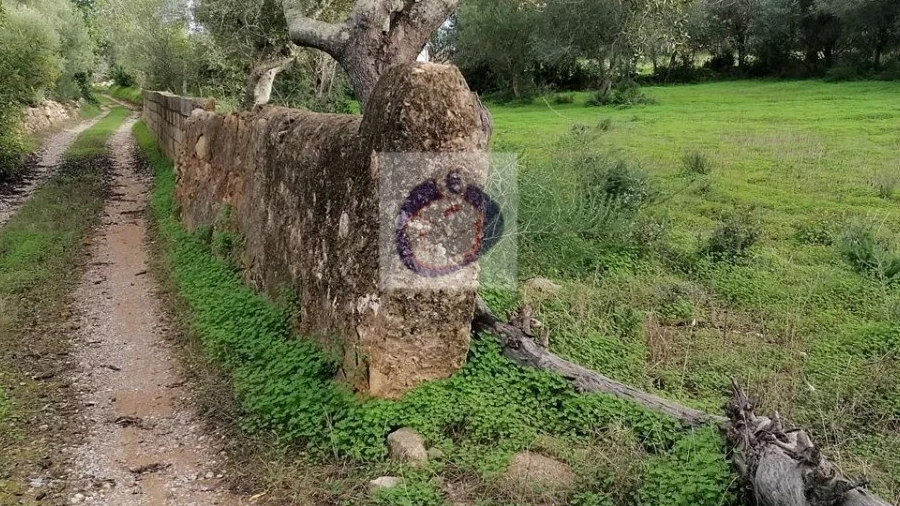 Terreno Agricola ou Rústico para Venda em Quelfes