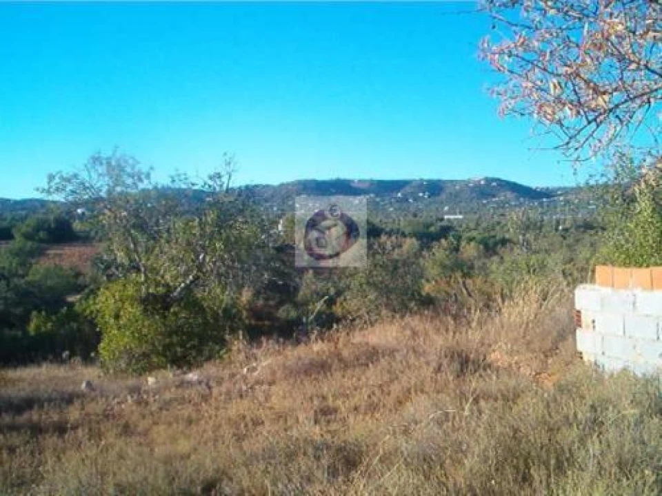 Terreno Agricola ou Rústico para Venda em Pechão Foto 2