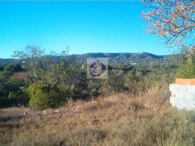 Terreno Agricola ou Rústico para Venda em Pechão Foto 2
