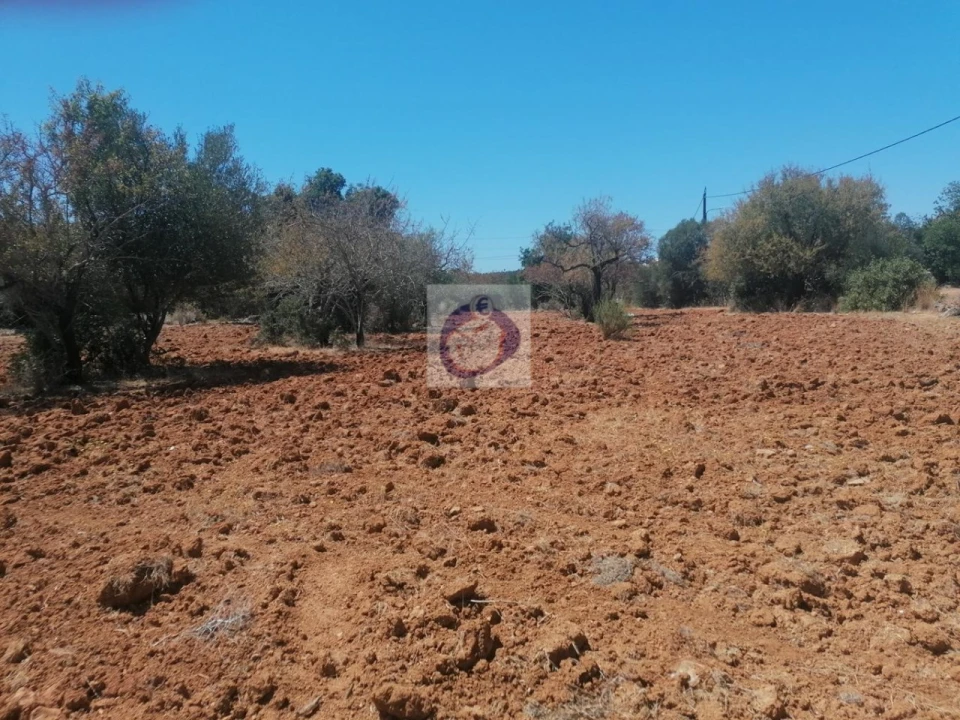 Quinta para Venda em Quelfes Foto 7