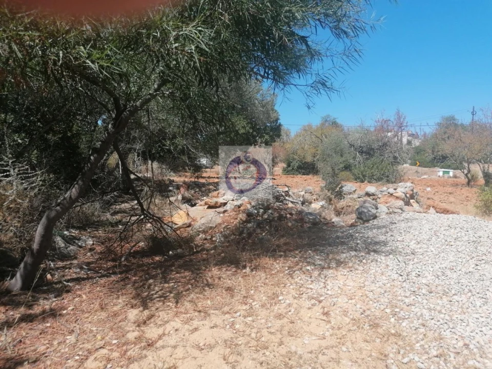 Quinta para Venda em Quelfes Foto 8
