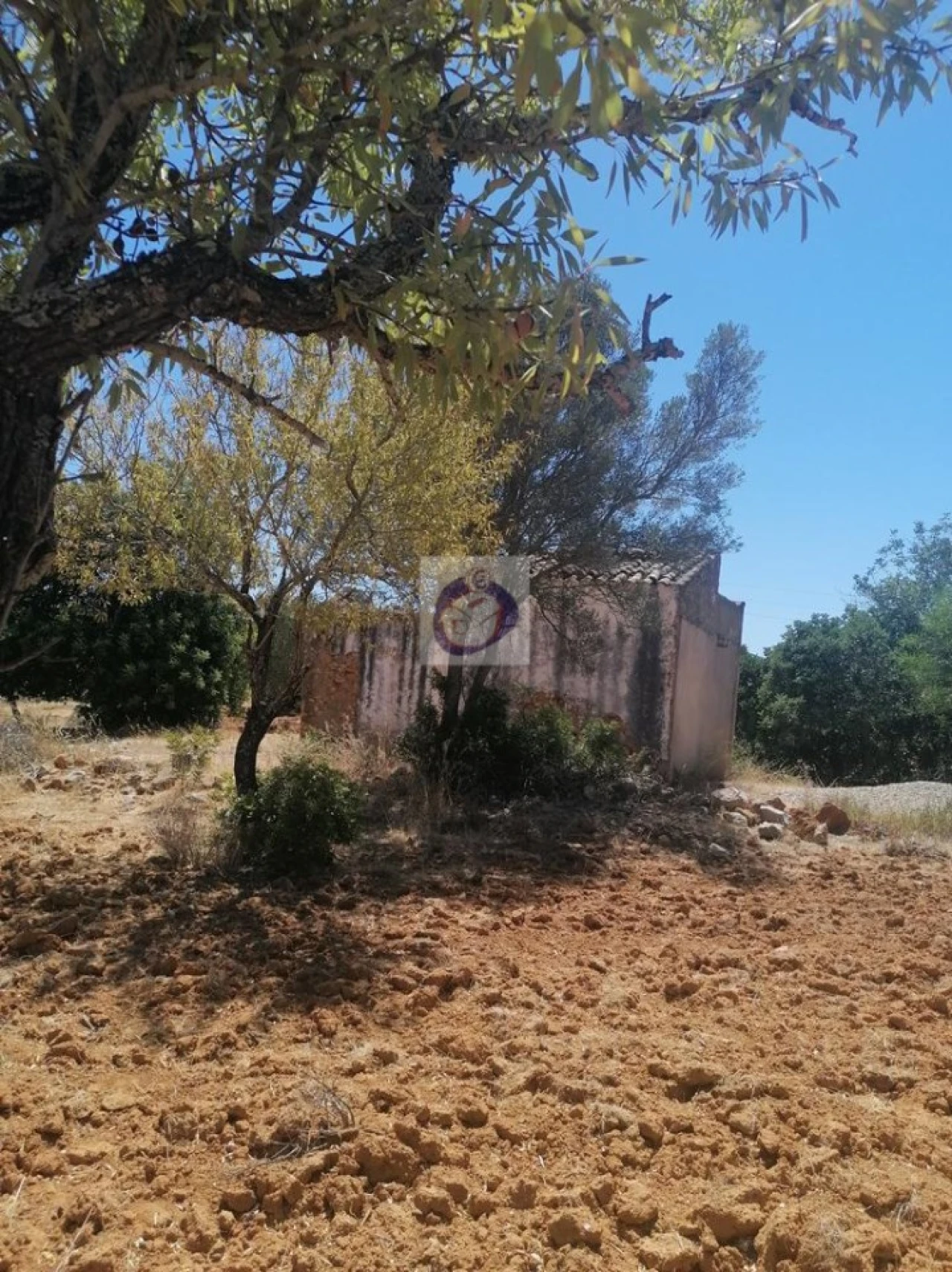 Quinta para Venda em Quelfes Foto 9