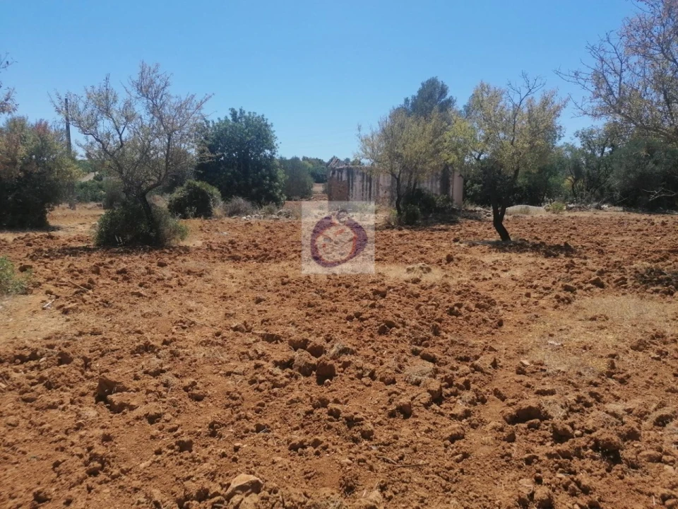 Quinta para Venda em Quelfes Foto 10