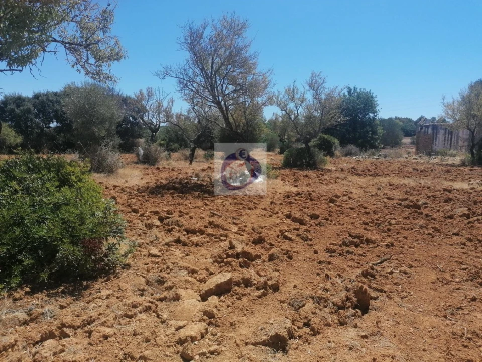 Quinta para Venda em Quelfes Foto 11