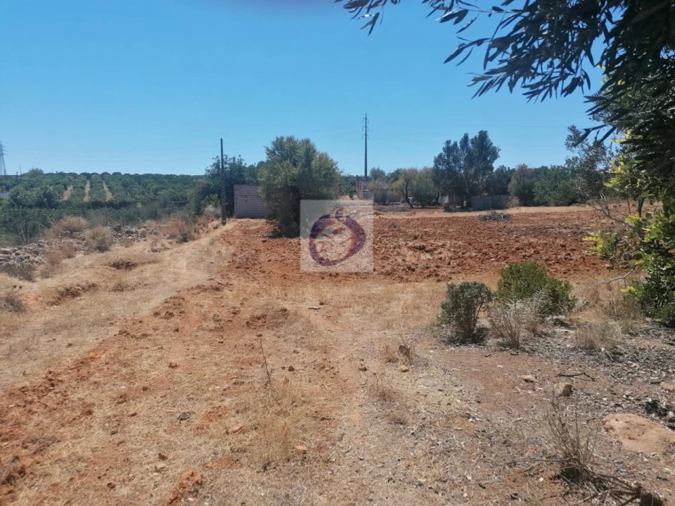 Quinta para Venda em Quelfes Foto 12