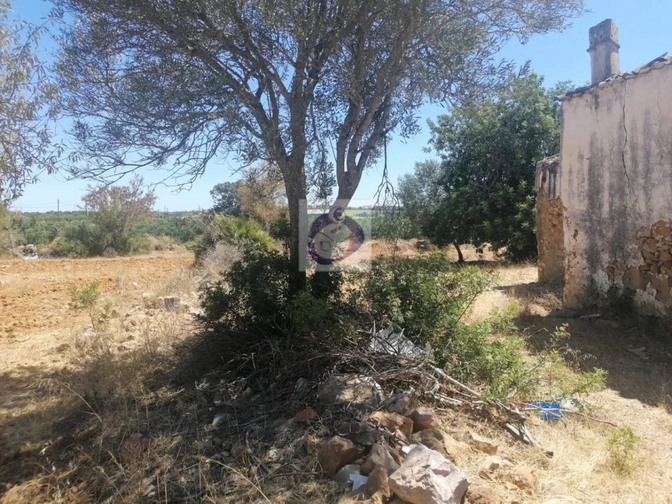Quinta para Venda em Quelfes Foto 14