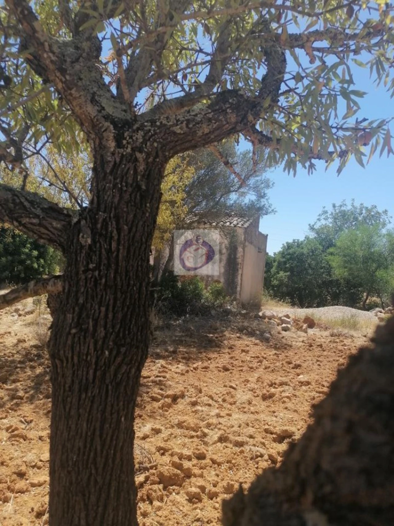 Quinta para Venda em Quelfes Foto 16